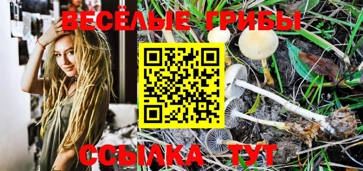 Белореченск  где найти наркотики  Вход с VPN  Галлюциногенные грибы GOLDEN TEACHER 