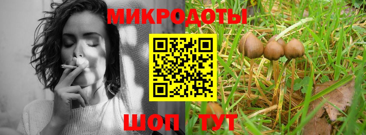 Галлюциногенные грибы GOLDEN TEACHER Белореченск